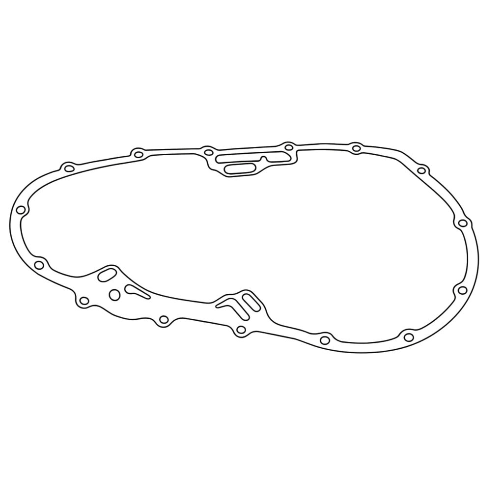 Guarnizione Alternatore - Originale OEM
